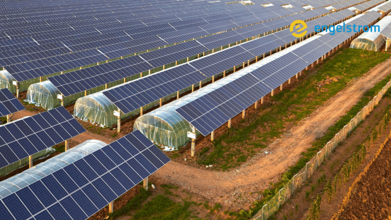 PV-überdachte, landwirtschaftlich genutzte Fläche